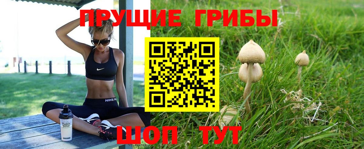 купить наркотики сайты  Вход с VPN  Брянск  Псилоцибиновые грибы прущие грибы 