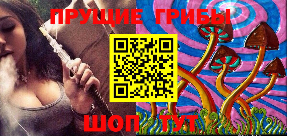 Псилоцибиновые грибы мухоморы Брянск